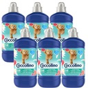 Coccolino Creations Grapefruit Liquid Lilia 6x1,45l