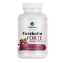 FORSKOLIN forte extrakt zo žihľavy indickej 60k