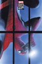 Plagát Marvel 80 Years Spider Man 61x91,5 cm