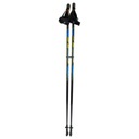 Palice na Nordic Walking Sibut SMJ sport HS-TNK-000009