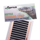 Imreptiles vykurovacia rohož 40W - 1292 x 150 mm