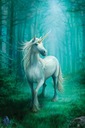 Anne Stokes Unicorn Unicorn - plagát