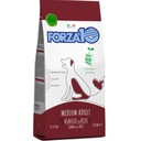 Forza10 Maintenance Medium Large Jahňacina s ryžou 12,5 kg