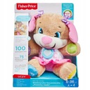 HIT! FISHER-PRICE SISTER PUPPY FPP63