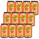 Schweppes Citrus Mix Drink s príchuťou citrusov 330 ml x 12 kusov