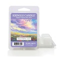 Beautiful Day - Kringle Candle - vonný vosk 64 gramov