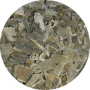 Fucus thallus 250g Jaga's Herbarium