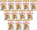 ROYAL CANIN Yorkshire Dospelý set 12x 85g