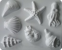 SHELLS SHELLS FORMY SADROVÉ LIETACIE FORMY MYDLO