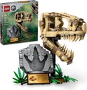 LEGO JURASSIC WORLD BLOCKS 76964 KOSTRY DINOSAUROV - LEBKA