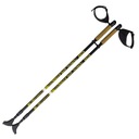 Trekingové palice Nils Extreme Nordic Walking NW603