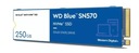 WD Blue SN570 WDS250G3B0C 250 GB M.2 SSD