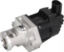 DELPHI EGR VENTIL EG10478-12B1