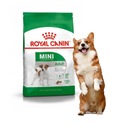 Royal Canin SHN Mini Adult krmivo 4kg