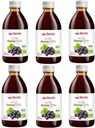 BIO šťava z arónie 100% BIO sada (6 x 250 ml) 1,5 l