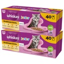 Whiskas Junior 80x85g hydinová sviatok mokré jedlo pre mačiatka v želé