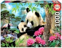 Educa Puzzle 1000 medvedíkov Panda