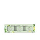 YANKEE CANDLE CUCUMBER MINT sviečka 37g SET