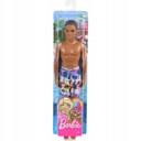 BÁBIKA BARBIE PLÁŽ KEN MATTEL FJF08 GHW44