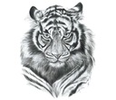 Nálepka Tiger Tiger Sketch Head Large UV Truck