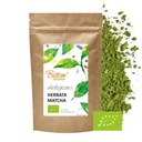 Prírodný MATCHA GREEN TEA prášok BIO 100g