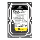 WD RE 250GB 7,2K 64MB SATA III 3,5'' WD2503ABYZ