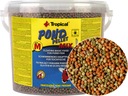 TROPICAL Pond Pellet Mix M 550g/5L Pond Krmivo