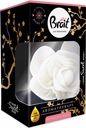 Brait Decoration Hypnotic Rose Osviežovač vzduchu