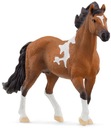 SCHLEICH HORSE CLUB Mangalarga marchador žrebec 13978