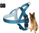 Nobby Classic Preno Norwegian Harnesses Blue M-L