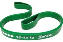 POWER BAND CVIČENIE GUARD 25-40 kg, odporový pás na tréning, príťahy