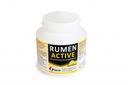 RUMEN ACTIV 200 GR