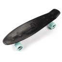 FISHBOARD SKATEBOARD METEOR PLAST