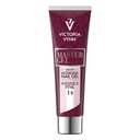 Victoria Vynn MASTER GEL 14 Shimmer Pink, 60g