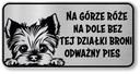 Pozor znamenie York Dog