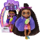 Bábika BARBIE EXTRA Minis Purple Fur HGP63