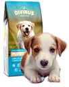 Divinus Puppy STRAVA ZDRAVÝ VÝVOJ ŠTEŇA 20 kg