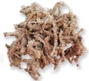 Sphagnum Moss 500g pre terárium obojživelníkov