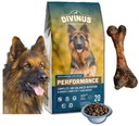 Divinus Performance 42% mäso Hovädzie 20kg