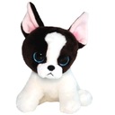 TY 36274 BEANIE BABIES 15 CM PORTIA TERIÉR