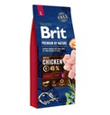 BRIT PREMIUM By Nature Adult L 15 kg