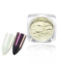 ZRKADLOVÉ CHROMOVÉ KAMELEON NAIL POWDER 12 FIALOVÁ