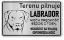 Attention Pes Labrador plaketa veľká 25x15