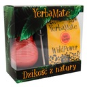 WildPower Set Yerba Mate guarana, ženšen