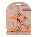 Amiplay Harness + vodítko pre Cat Twist M Orange