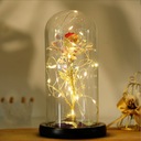 ETERNAL ROSE IN GLASS LED LIGHTS kvetinový box