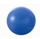 HMS BLUE GYM BALL YB01 PG 55CM FIT