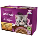 WHISKAS Junior Hydinové príchute v želé 12x85g