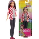 BÁBIKA SKIPPER BARBIE DREAMHOUSE Z ROZPRÁVKY GHR62