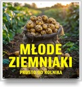 Reklamný banner Plachta SILNÁ 1x1m NOVÉ ZEMIAKY ZEMIAKY UV POTLAČ